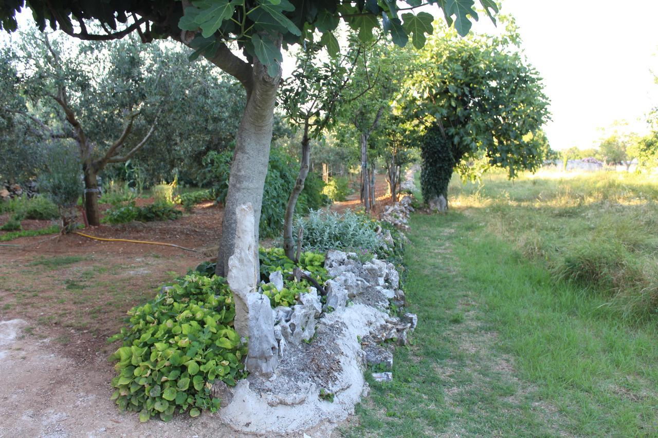 Haus Glavani Barban Exterior foto